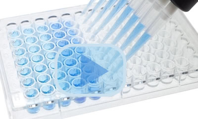 How to wash ELISA plate with wash buffer