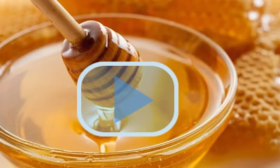 Honey antibiotic residue testing with Ringbio Rapid Tests
