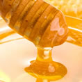 Ringbio Honey antibiotic and pesticide residue rapid test kit