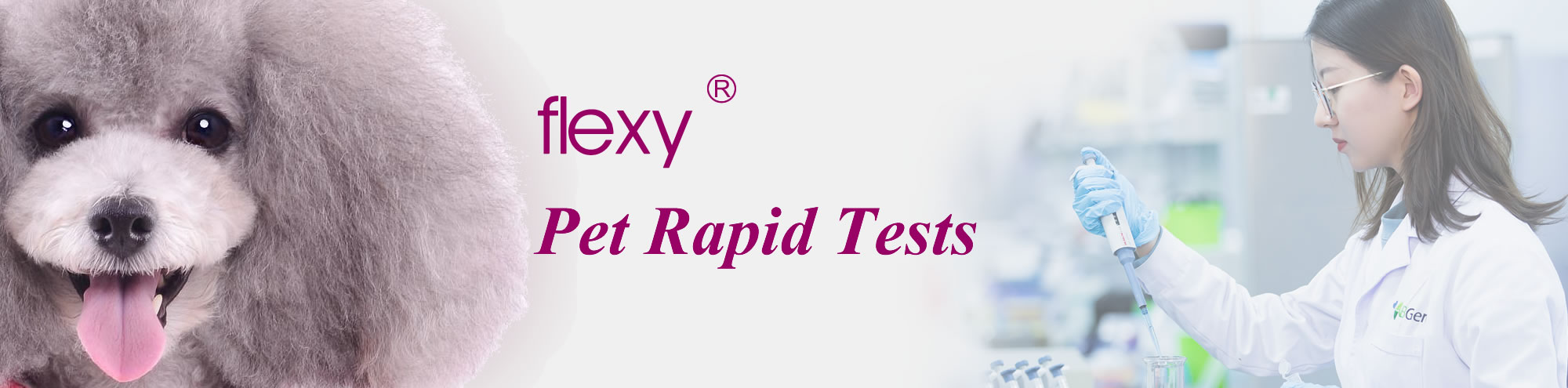 Flexy Pet Rapid Test Kits for cat and dog disease testing