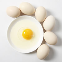 egg test kits