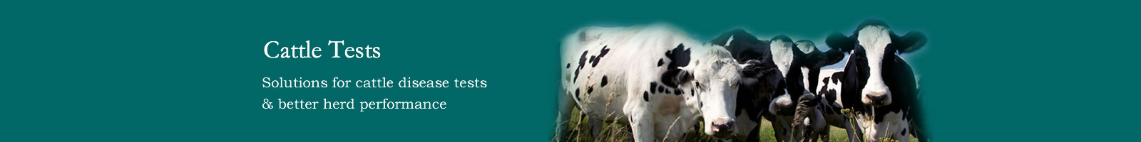 Cattle Test to identify beef and dairy cattle diease