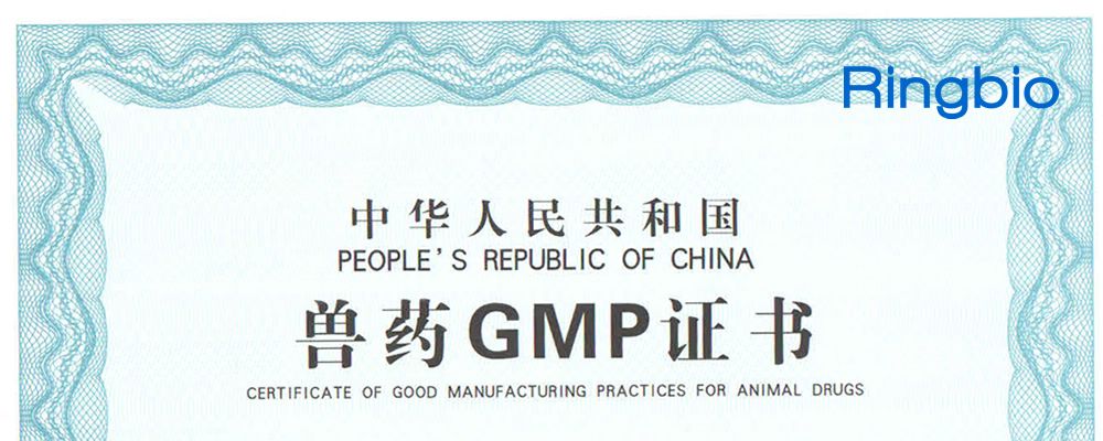 GMP certificate for veterinary diagnostic product of Ringbio is issued