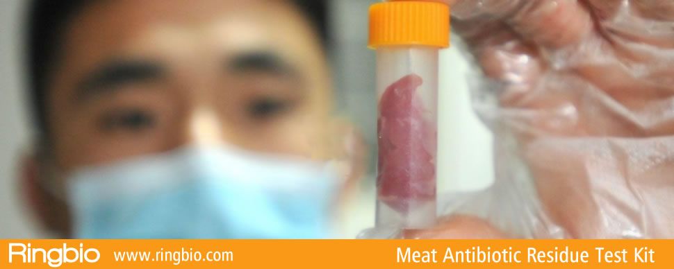 Ringbio Meat Rapid Test Kit for Meat Antibiotic Residue Testing