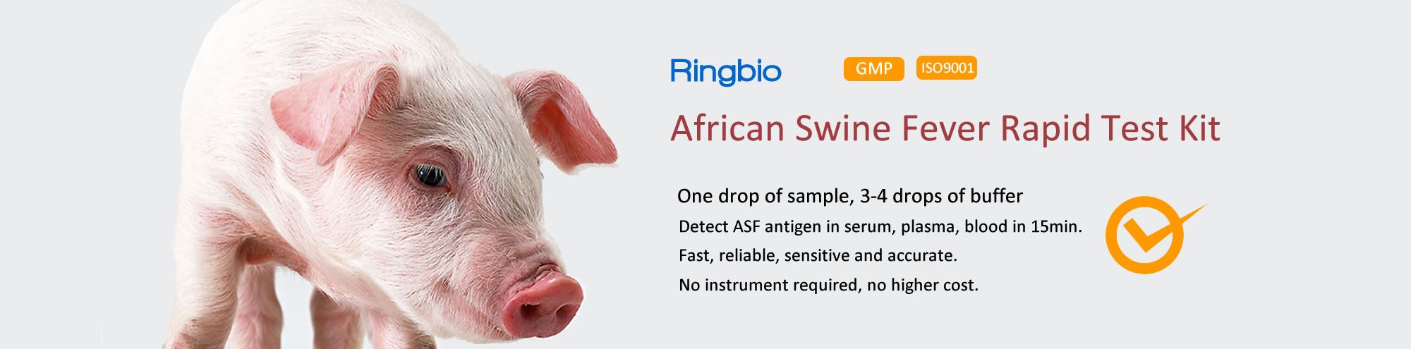 African Swine Fever Rapid Test: to detect ASFV antigen and antibody in swine blood, serum, fast, easy and affordable. Suitable for field and lab test.
