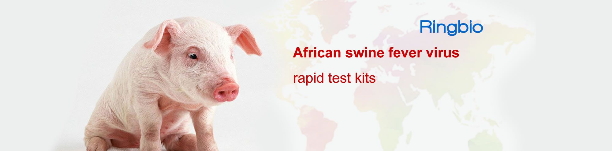 African Swine Fever Rapid Testing with African Swine Fever Rapid Test Kit