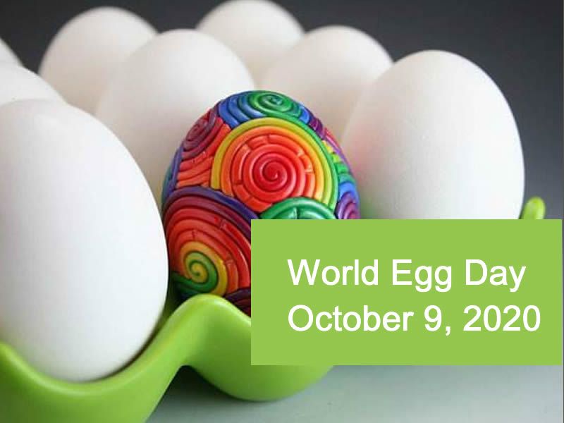 Let's celebrate world egg day