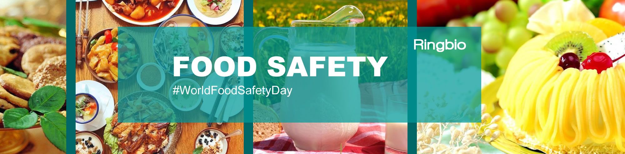 World food safety day, a global celebration of food safety