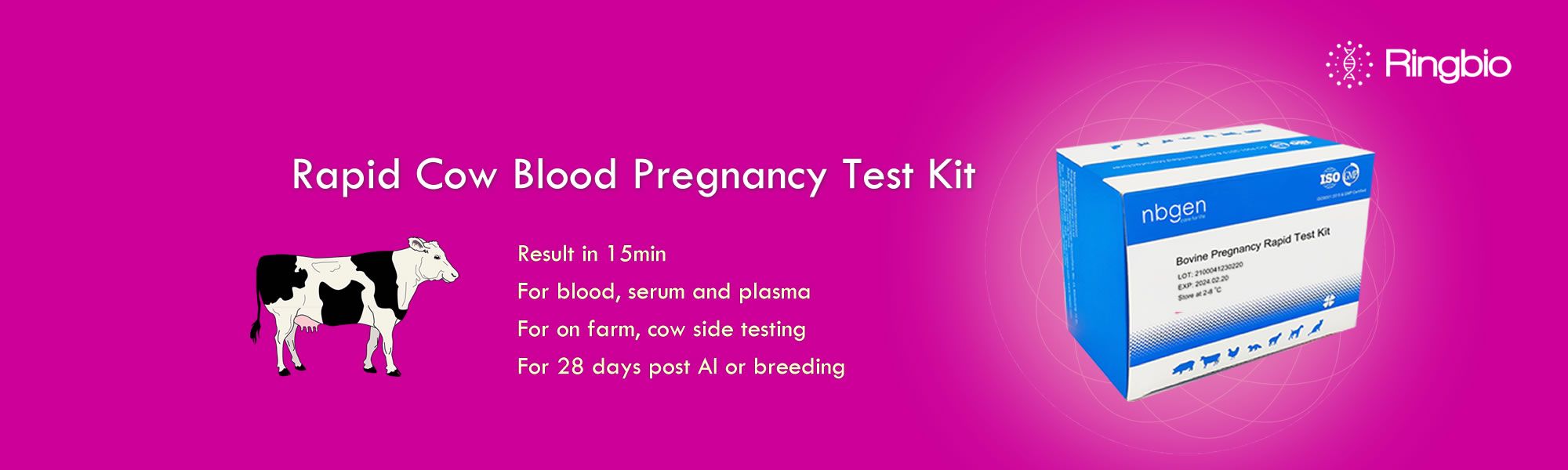 The whole blood rapid cow pregnancy test kit for on farm and cow side testing