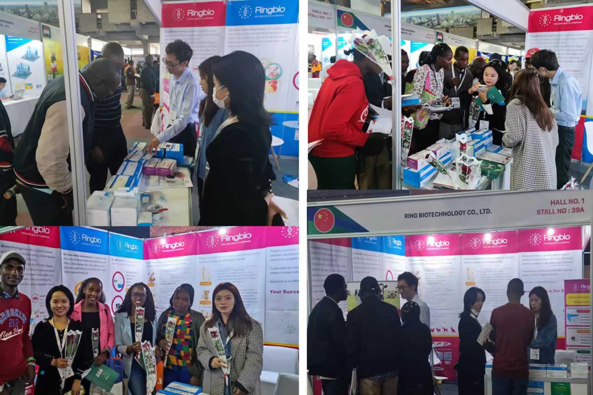 Ringbio showcases its products at Dairy, Livestock and Poultry Technology Exhibition Africa 2023