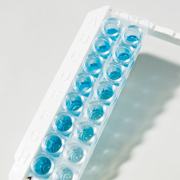 immunoassay development