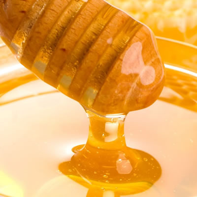 Ringbio Honey antibiotic and pesticide residue rapid test kit