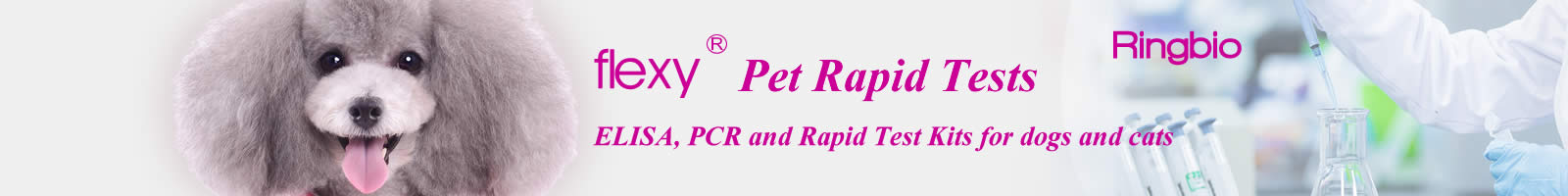 Ringbio Pet Rapid Test Kits, ELISA, PCR