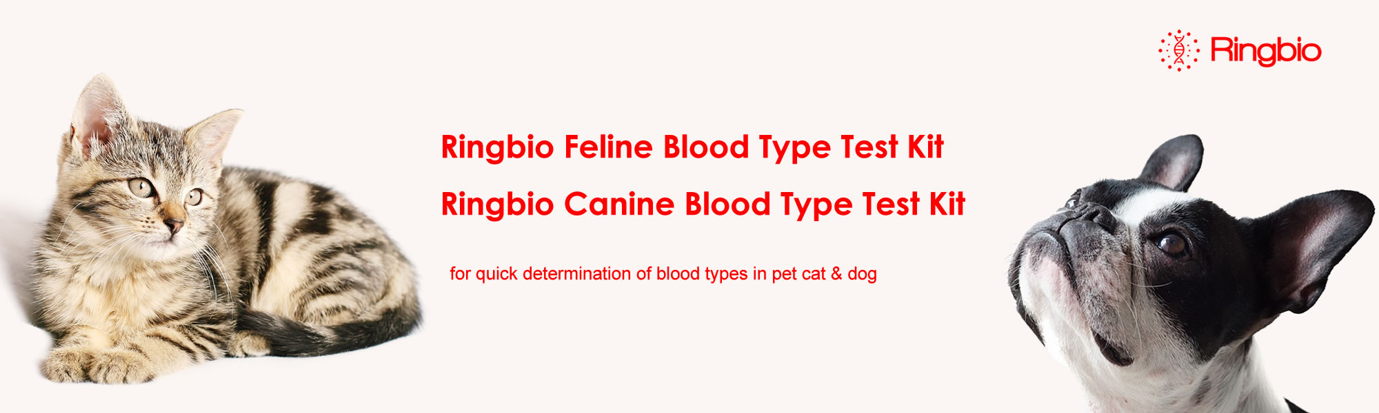 Ringbio Feline and Canine Blood Type Rapid Test Kits are for sale.