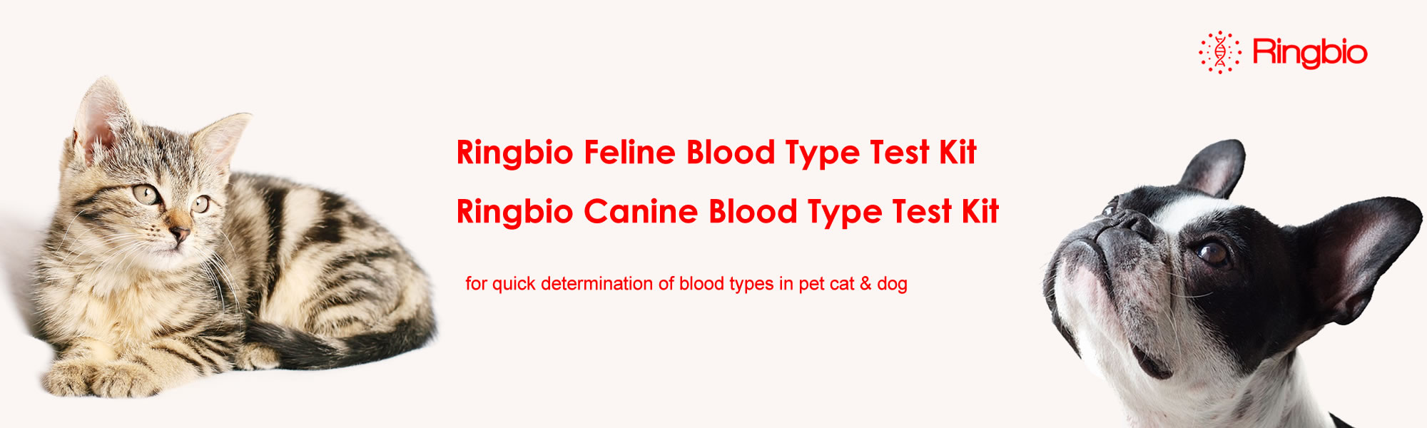 Los kits de prueba rápida de tipo de sangre canina y felina Ringbio están a la venta.