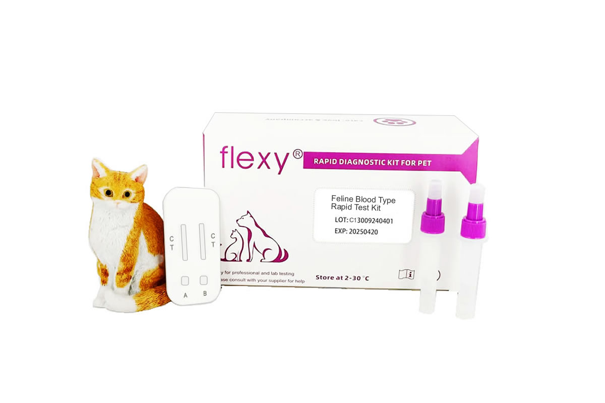 Feline AB Blood Typing Kit