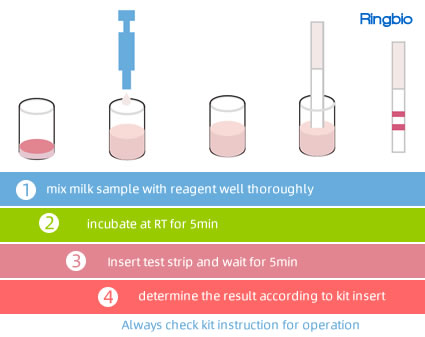 100001 Betalactams antibiotiques Test Kit, RINGBIO Tests de détection de résidus d’antibiotiques