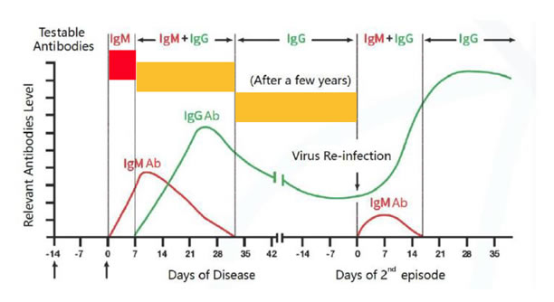 Express Covid Test Igm Igg Antibodies Novel Coronavirus Sars Cov Stock  Photo by ©anyaivanova@gmail.com 377790846