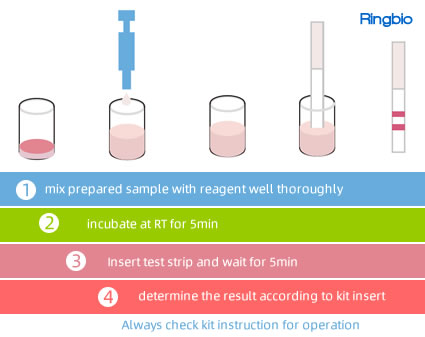 Kit de prueba rápida de metabolitos de nitrofuranos Nitrofurano 4 en 1 AOZ/AMOZ/AHD/SEM QuaTest