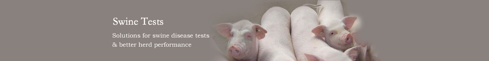 Swine Tests to identify swine diease and pregnancy