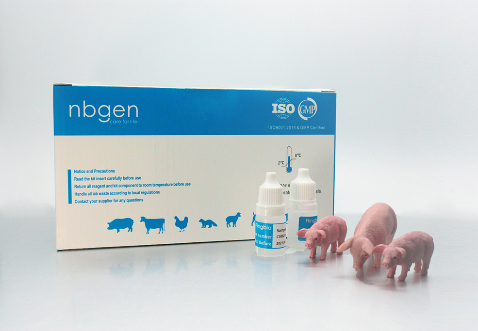 pig pregnancy rapid test kit