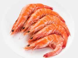 shrimp rapid test kits