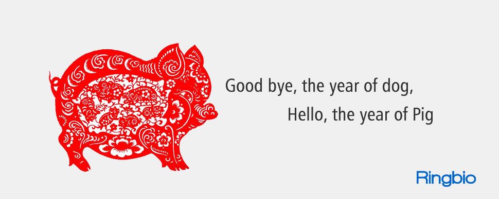 Hello Pig Year, Spring's Greetings from RINGBIO