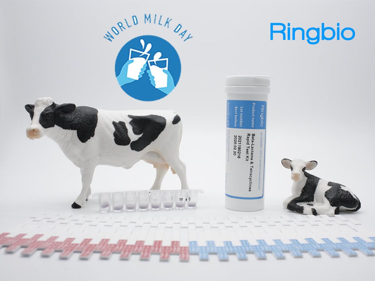 Let's celebrate World Milk Day 
