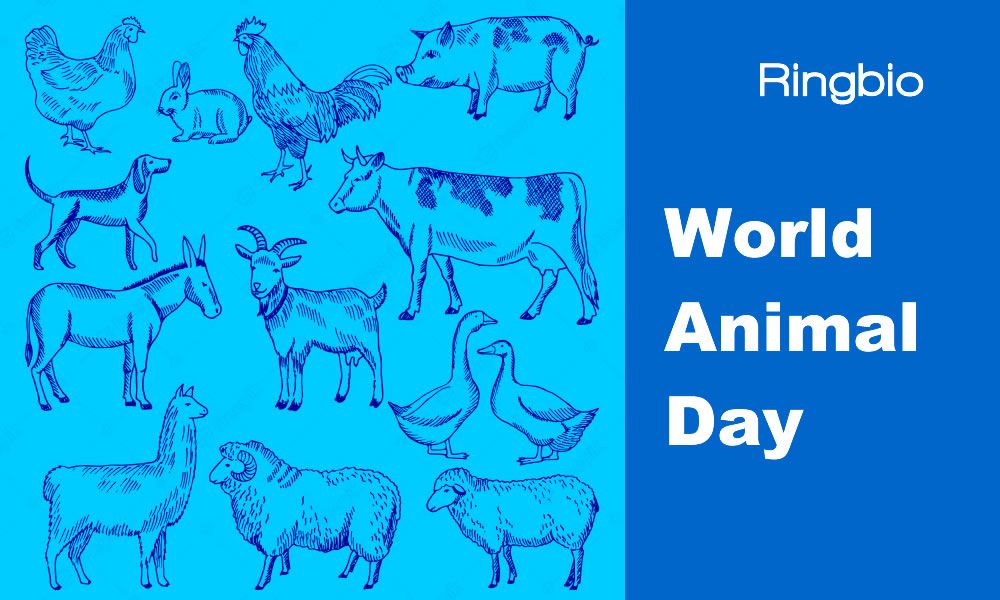 World animal day, the day to remind us of caring animals