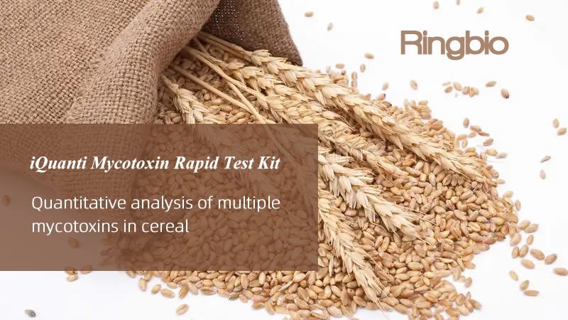 iQuanti zearalenone quantitative rapid test kit demonstration video is ready