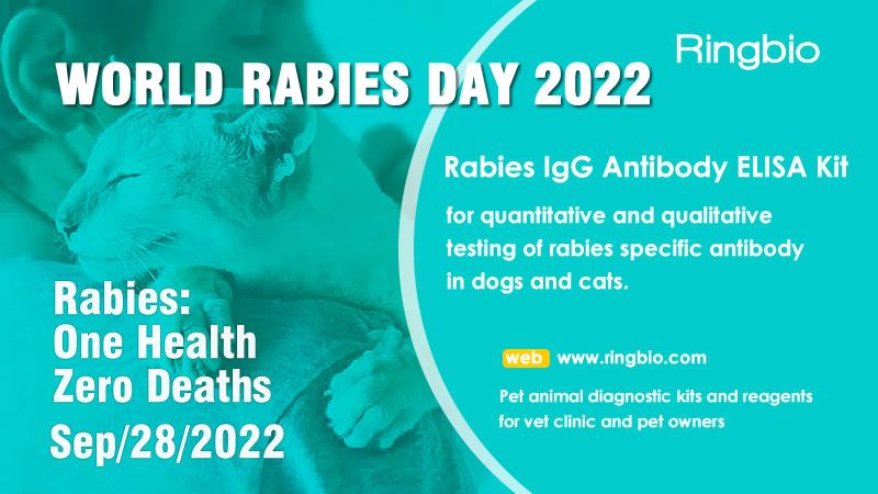The theme of World Rabies Day in 2022 is "One Health, Zero Deaths".