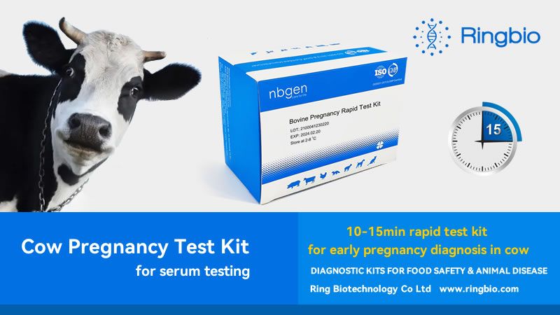 Frequently asked questions about cow pregnancy rapid test kit?