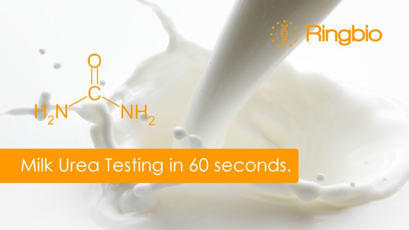 Milk urea testing in 60s with rapid test strip
