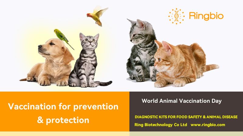 Why is immunization in pets so important?