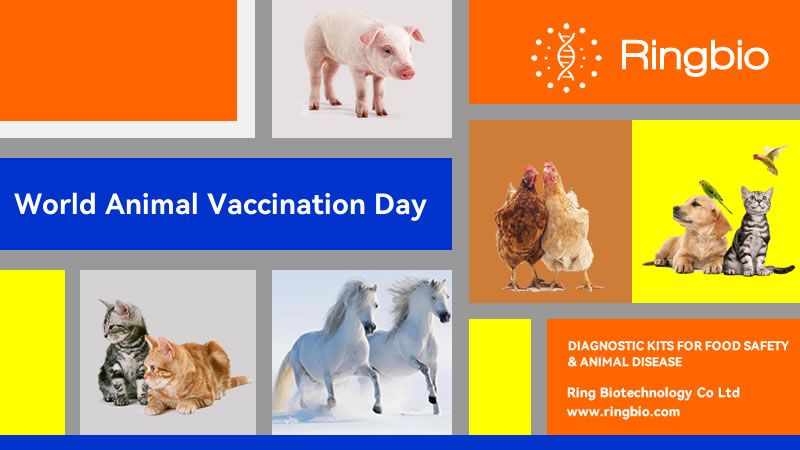 World animal vaccination day is here