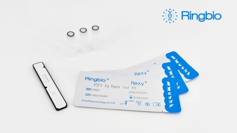 Ringbio releases the African swine fever p30 antigen test kit