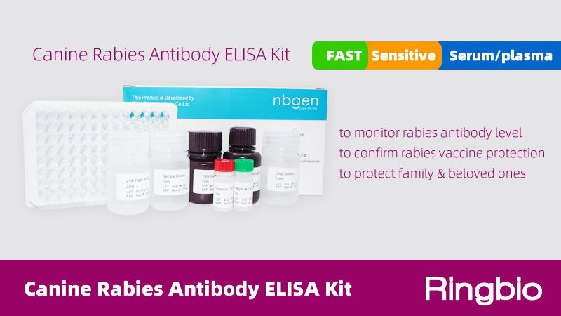 New canine rabies antibody ELISA kit to monitor rabies antibody level