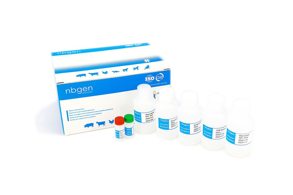 Foot-and-Mouth Disease, FMD Serotype Asian I antibody ELISA Kit 