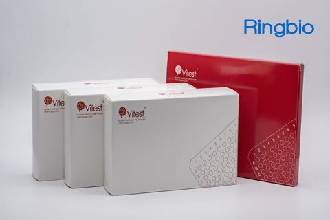 Introduction of our brand - Ringbio test kit brand names