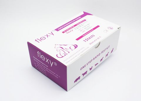 Feline Herpesvirus FHV Ag Rapid Test Kit