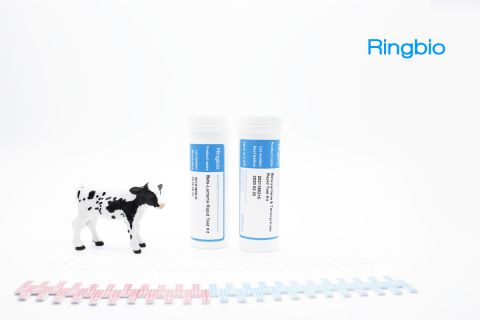 albendazole rapid test kit