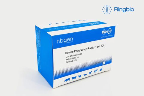 bovine pregnancy rapid test kit