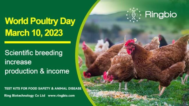 What is World Poultry Day?