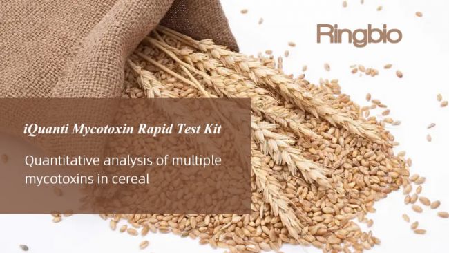 iQuanti zearalenone quantitative rapid test kit demonstration video is ready