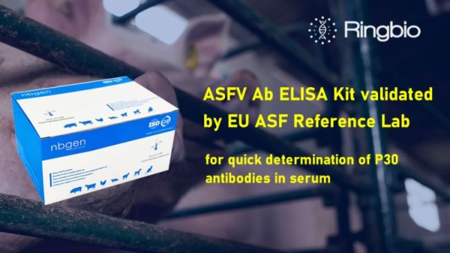 Ringbio ASFV Ab ELISA Kit is validated by EU reference lab