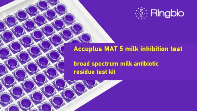 The Ringbio Accuplus MAT 5 test kit, the broad-spectrum milk inhibition test kit