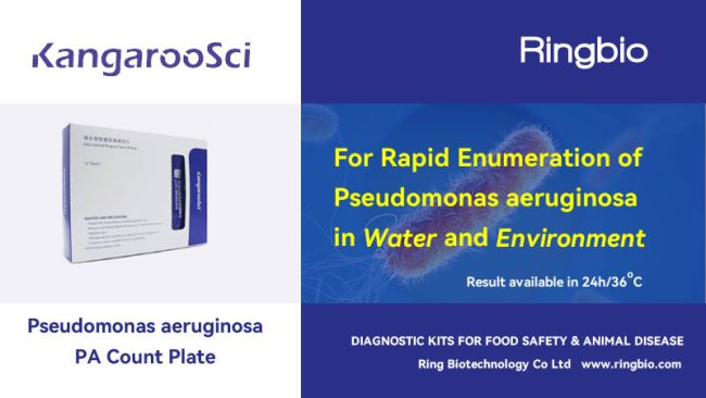 Pseudomonas aeruginosa rapid testing with Ringbio kangaroosci PA count plate