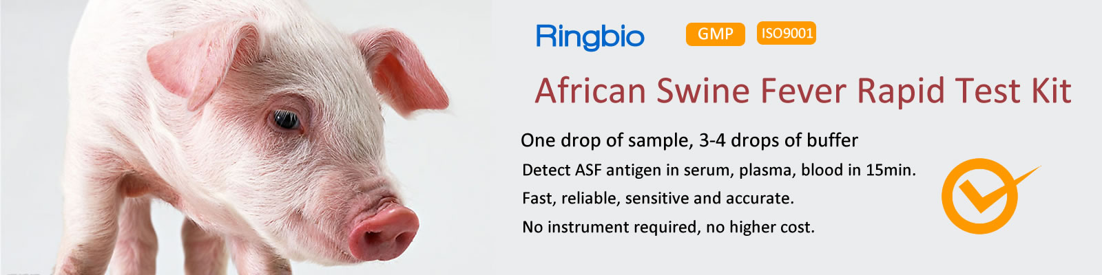 African Swine Fever Rapid Test